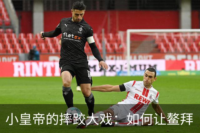 小皇帝的摔跤大戏：如何让鳌拜“下跪”！